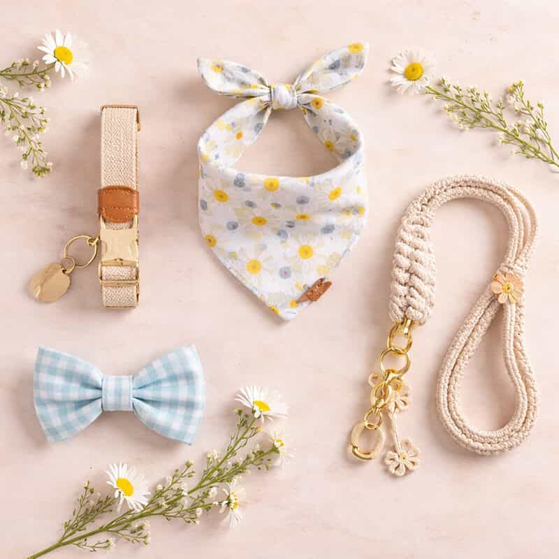 Pet Products & Supplies